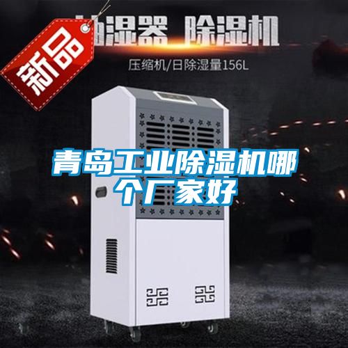 青島工業(yè)除濕機哪個廠家好