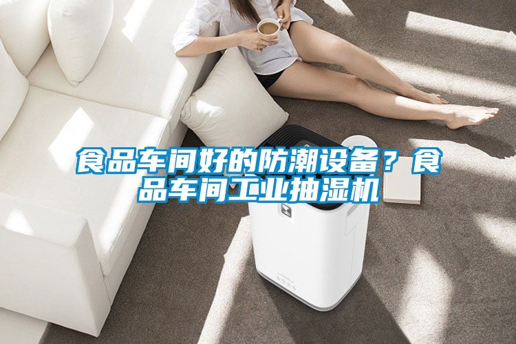 食品車間好的防潮設備？食品車間工業抽濕機