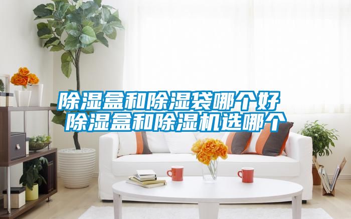 除濕盒和除濕袋哪個好 除濕盒和除濕機選哪個