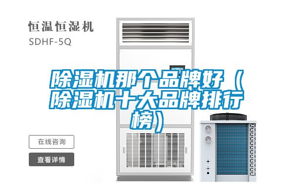 除濕機那個品牌好（除濕機十大品牌排行榜）