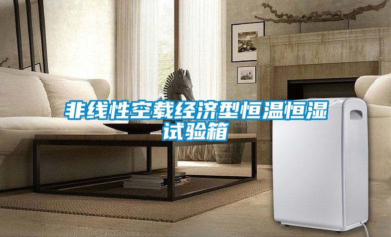 非線性空載經(jīng)濟型恒溫恒濕試驗箱
