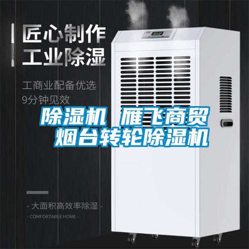除濕機 雁飛商貿 煙臺轉輪除濕機