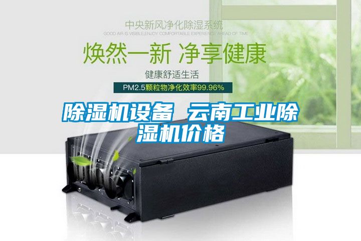 除濕機設備 云南工業除濕機價格