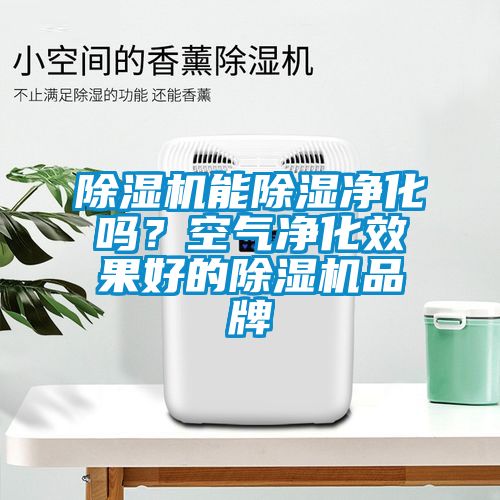 除濕機能除濕凈化嗎？空氣凈化效果好的除濕機品牌