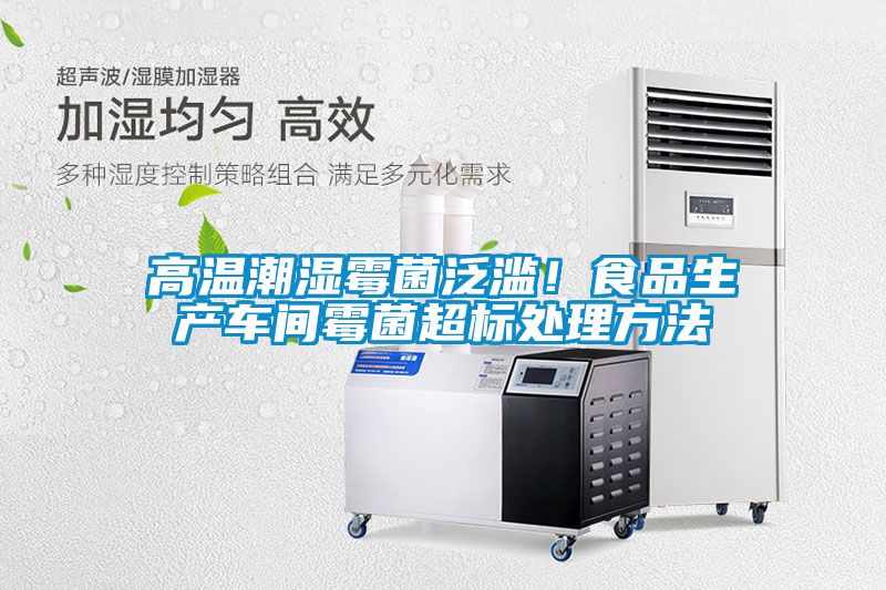 高溫潮濕霉菌泛濫！食品生產車間霉菌超標處理方法