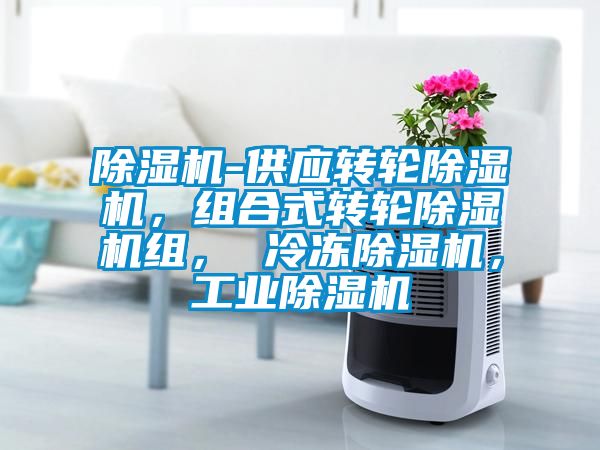 除濕機(jī)-供應(yīng)轉(zhuǎn)輪除濕機(jī)，組合式轉(zhuǎn)輪除濕機(jī)組， 冷凍除濕機(jī)，工業(yè)除濕機(jī)