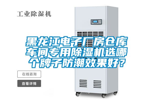 黑龍江電子廠房倉庫車間專用除濕機選哪個牌子防潮效果好？