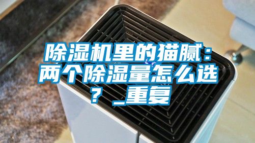 除濕機(jī)里的貓膩：兩個(gè)除濕量怎么選？_重復(fù)