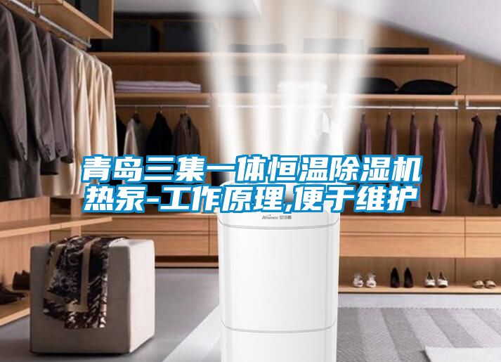 青島三集一體恒溫除濕機熱泵-工作原理,便于維護