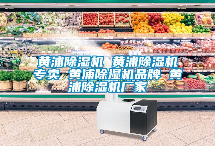 黃浦除濕機 黃浦除濕機專賣 黃浦除濕機品牌 黃浦除濕機廠家