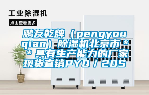 鵬友乾牌（pengyouqian）除濕機北京市＊＊具有生產(chǎn)能力的廠家現(xiàn)貨直銷PYQ／20S
