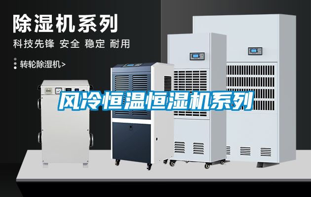 風冷恒溫恒濕機系列