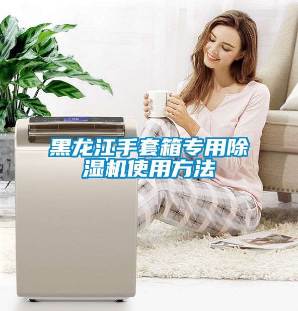 黑龍江手套箱專用除濕機使用方法