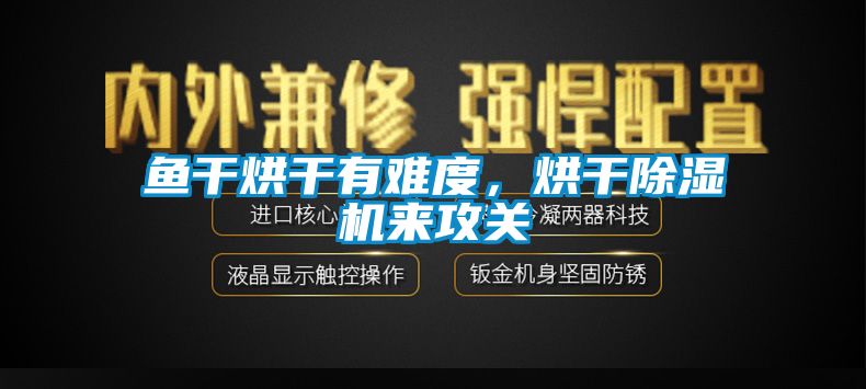 魚干烘干有難度，烘干除濕機(jī)來攻關(guān)