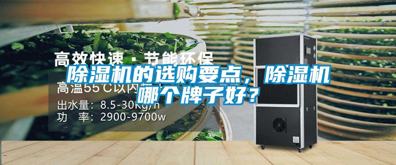 除濕機的選購要點，除濕機哪個牌子好？