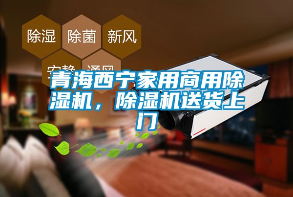 青海西寧家用商用除濕機，除濕機送貨上門