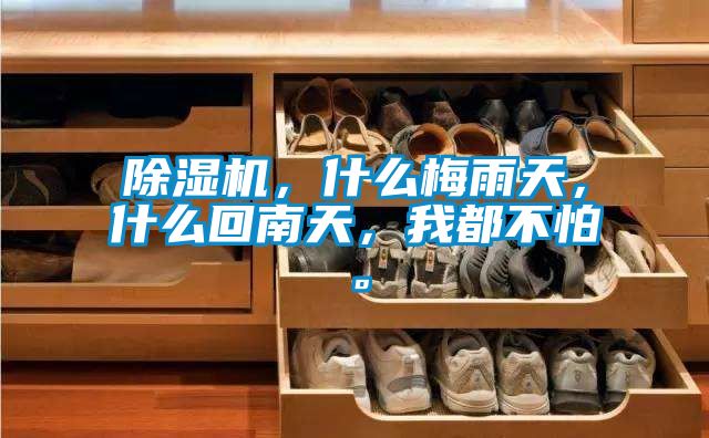 除濕機，什么梅雨天，什么回南天，我都不怕。