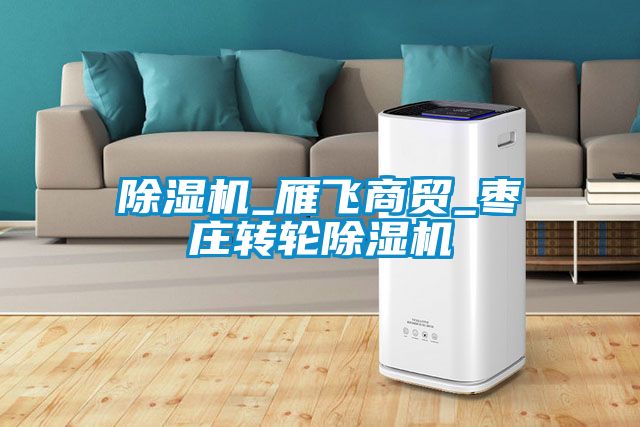 除濕機_雁飛商貿_棗莊轉輪除濕機