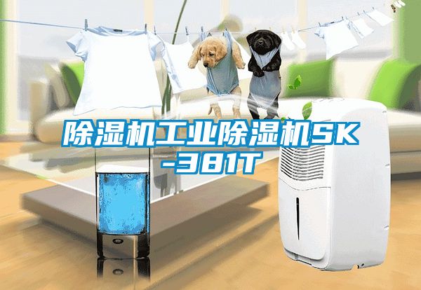 除濕機(jī)工業(yè)除濕機(jī)SK-381T