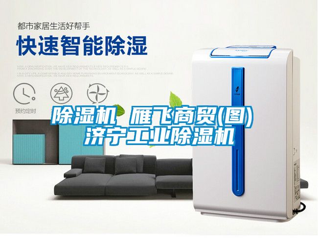 除濕機 雁飛商貿(圖) 濟寧工業除濕機