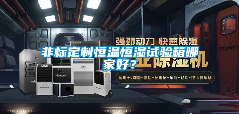 非標(biāo)定制恒溫恒濕試驗(yàn)箱哪家好？