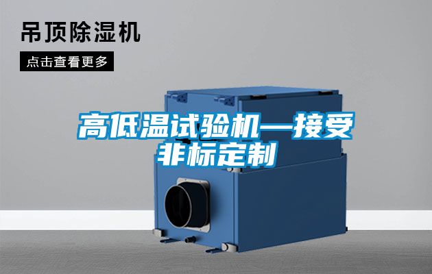 高低溫試驗機—接受非標定制