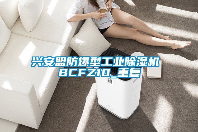 興安盟防爆型工業除濕機 BCFZ10_重復