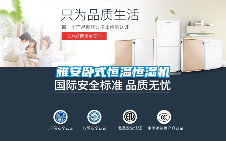 雅安臥式恒溫恒濕機(jī)