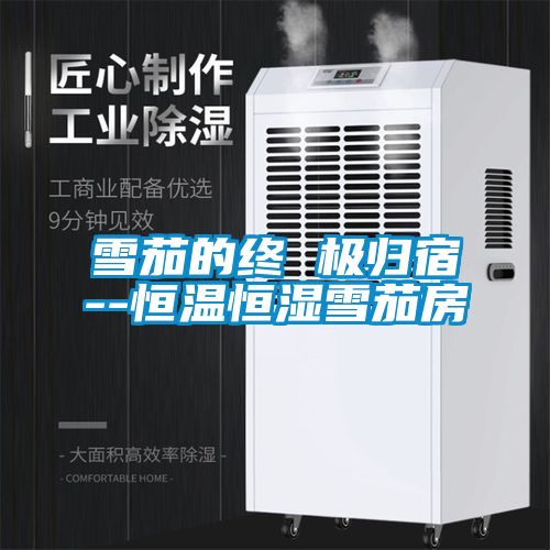 雪茄的終 極歸宿--恒溫恒濕雪茄房