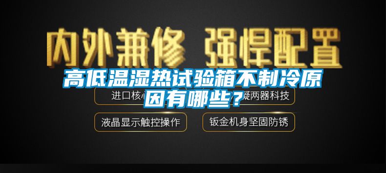 高低溫濕熱試驗箱不制冷原因有哪些？