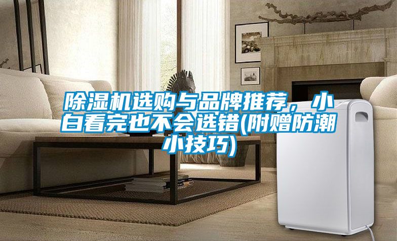 除濕機選購與品牌推薦，小白看完也不會選錯(附贈防潮小技巧)