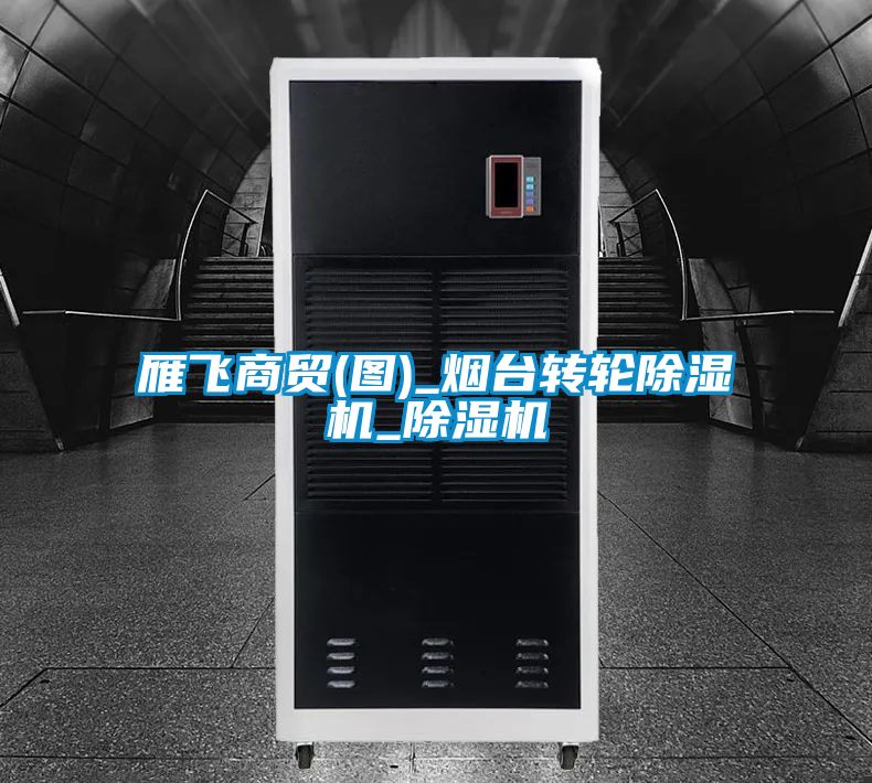 雁飛商貿(mào)(圖)_煙臺轉(zhuǎn)輪除濕機(jī)_除濕機(jī)
