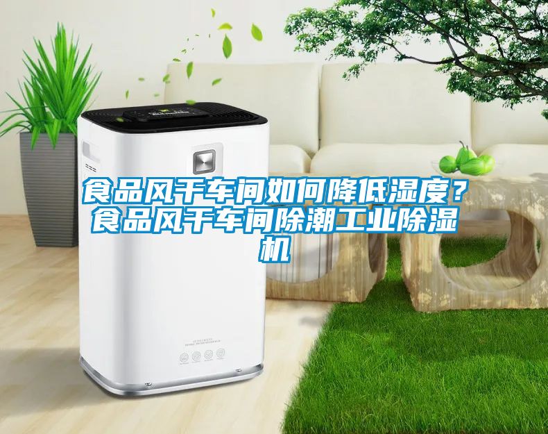 食品風干車間如何降低濕度？食品風干車間除潮工業除濕機