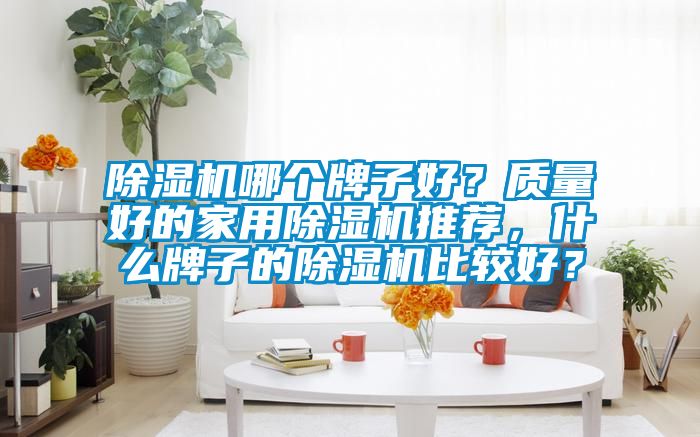 除濕機哪個牌子好？質(zhì)量好的家用除濕機推薦，什么牌子的除濕機比較好？