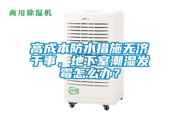 高成本防水措施無濟于事，地下室潮濕發霉怎么辦？