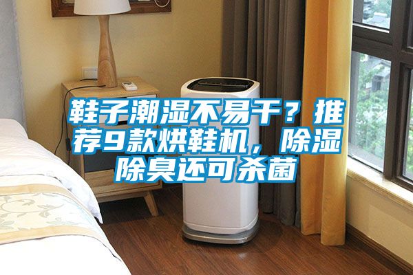 鞋子潮濕不易干？推薦9款烘鞋機，除濕除臭還可殺菌