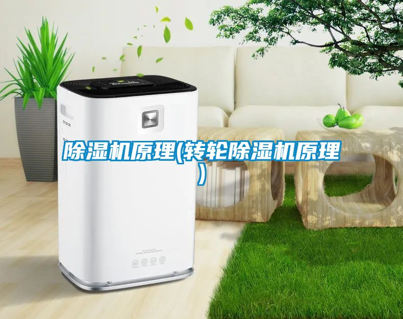 除濕機原理(轉輪除濕機原理)
