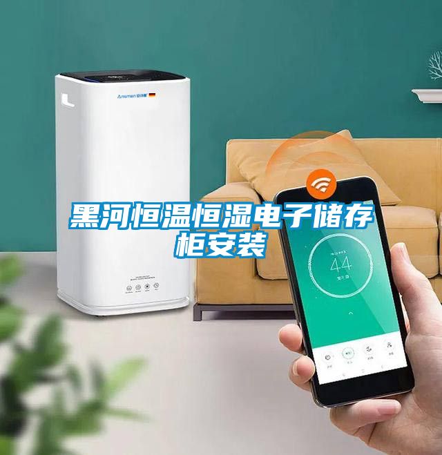 黑河恒溫恒濕電子儲存柜安裝