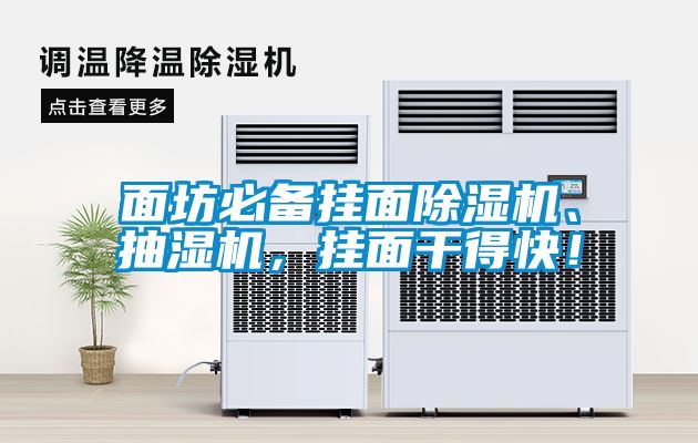 面坊必備掛面除濕機、抽濕機，掛面干得快！