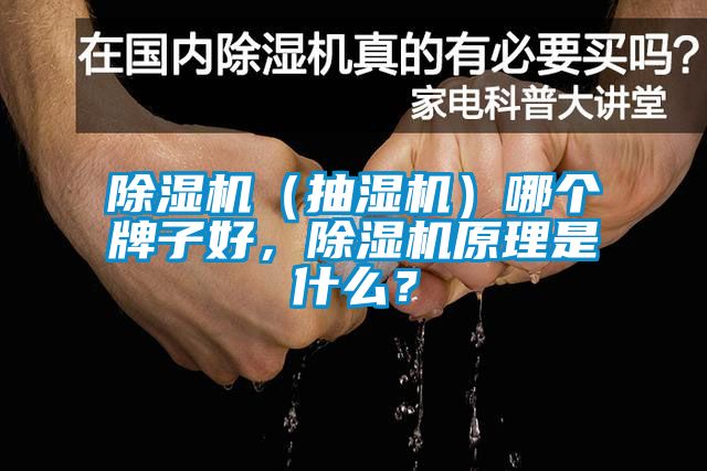 除濕機（抽濕機）哪個牌子好，除濕機原理是什么？