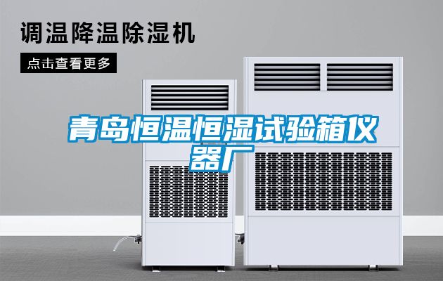 青島恒溫恒濕試驗箱儀器廠