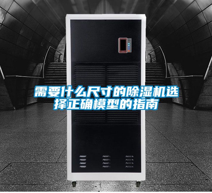 需要什么尺寸的除濕機選擇正確模型的指南