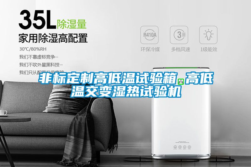 非標定制高低溫試驗箱 高低溫交變濕熱試驗機