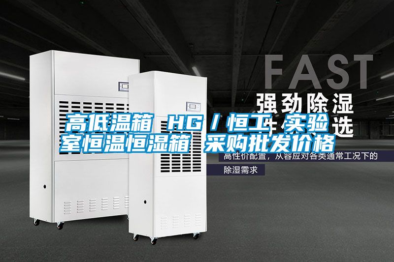 高低溫箱 HG／恒工 實驗室恒溫恒濕箱 采購批發(fā)價格