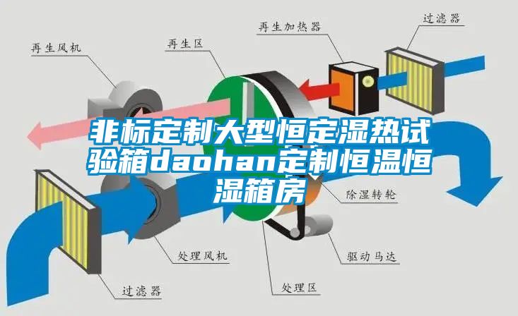 非標定制大型恒定濕熱試驗箱daohan定制恒溫恒濕箱房