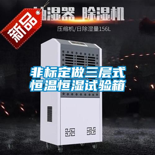 非標(biāo)定做三層式恒溫恒濕試驗箱