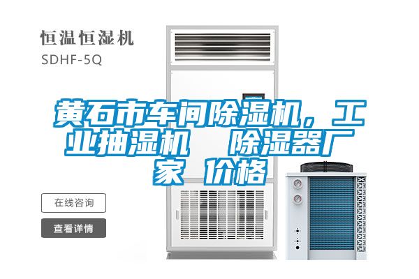 黃石市車間除濕機(jī)，工業(yè)抽濕機(jī)  除濕器廠家 價(jià)格