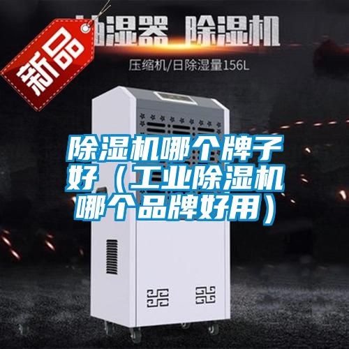 除濕機(jī)哪個(gè)牌子好（工業(yè)除濕機(jī)哪個(gè)品牌好用）