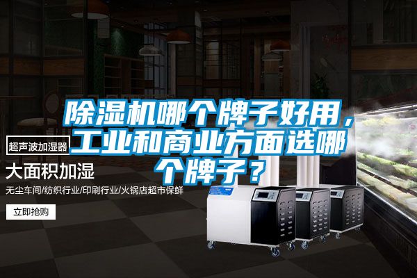 除濕機哪個牌子好用，工業和商業方面選哪個牌子？