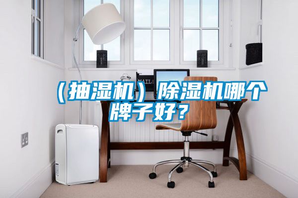 （抽濕機(jī)）除濕機(jī)哪個(gè)牌子好？